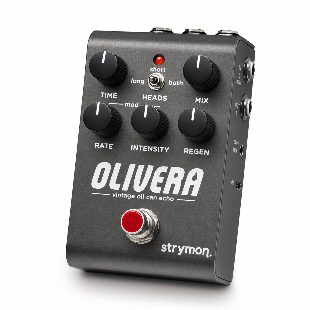 Strymon Olivera 오일 캔 에코
